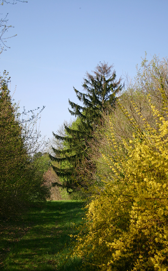 Schlosspark Halbturn im Frühling