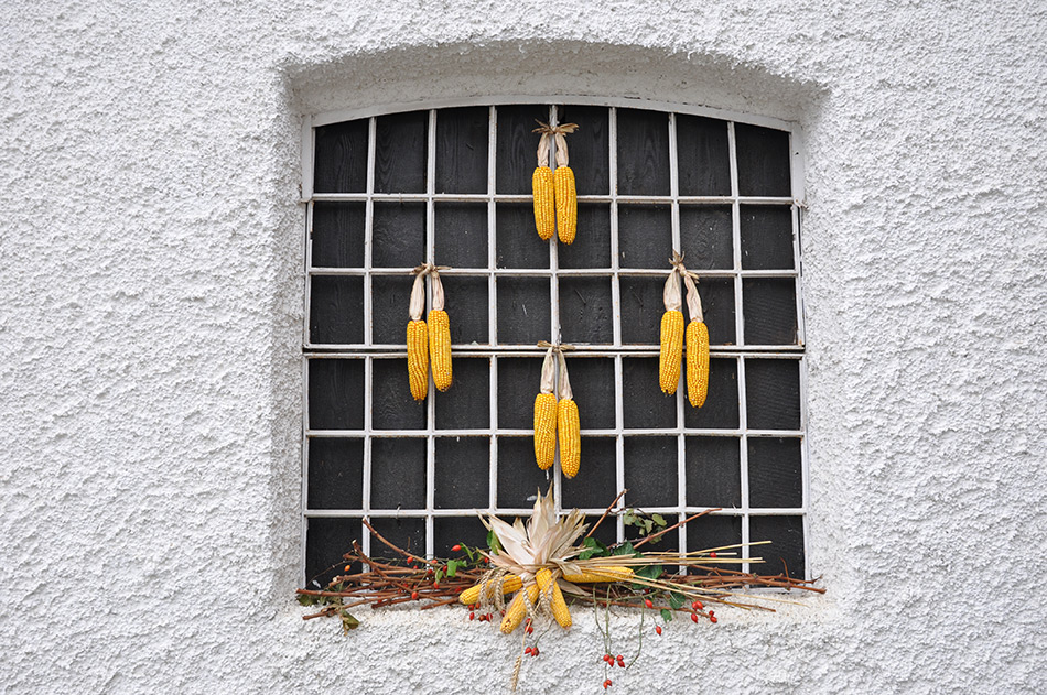 Geschmücktes Fenster am Halbturner Tschardakenfest