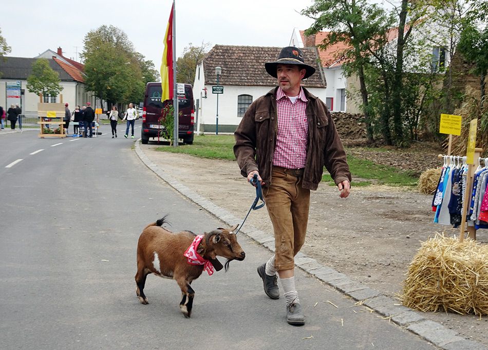 Besucher mit Ziege am Halbturner Tschardakenfest