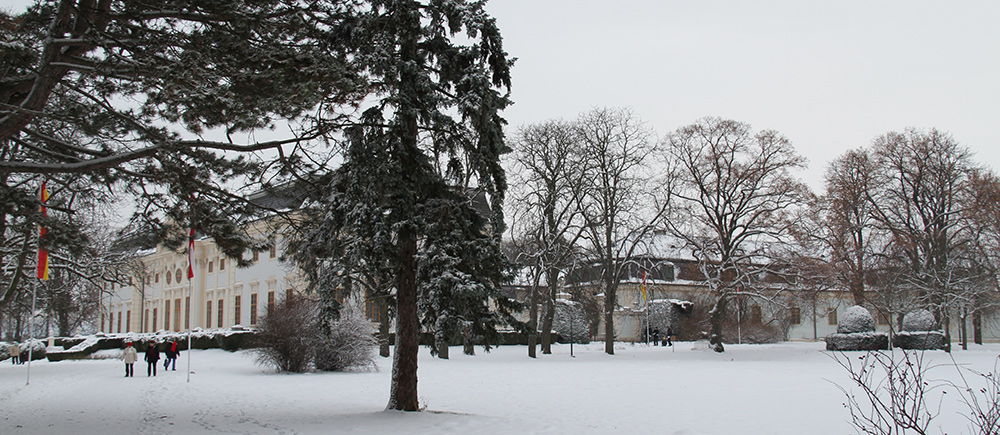 Winter im Schlosspark Halbturn
